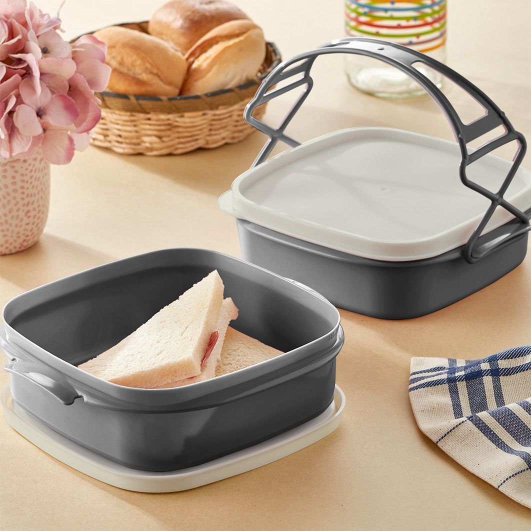 Qlux Tetra Lunch Boxes – 2 Piece Set