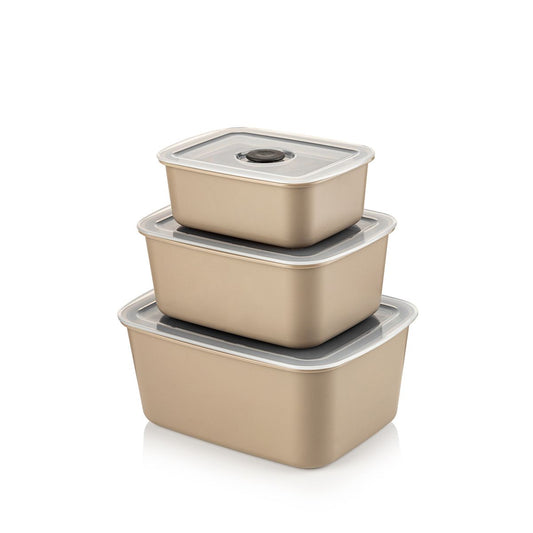 Foly Pro Airtight Storage Box Set of 3